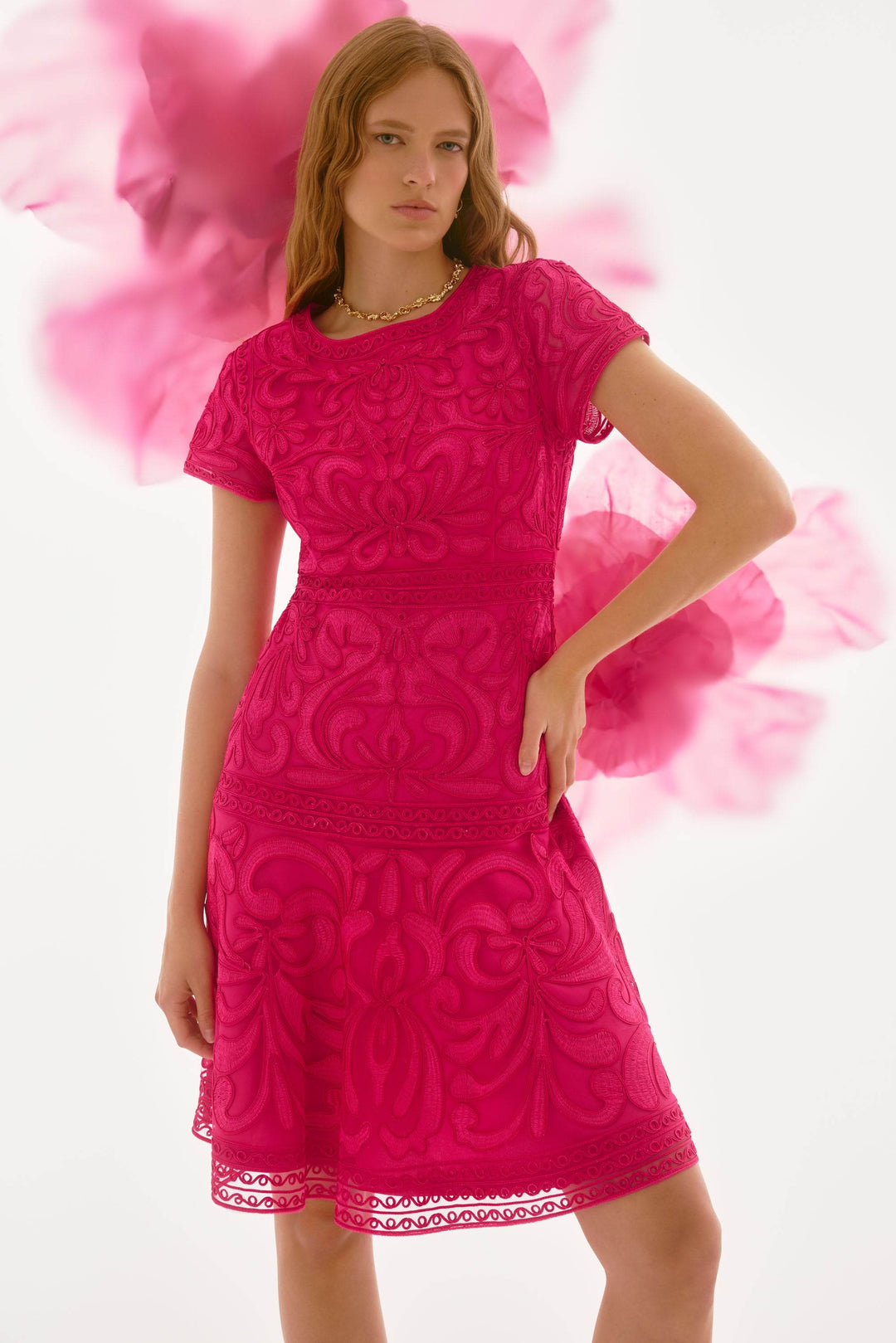 Embroidered Mesh Fit and Flare Dress Style 251768X – Dream Pants